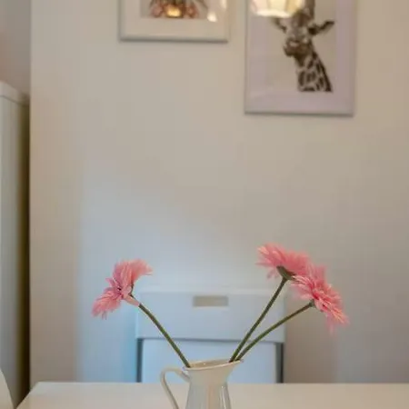 Galway City Cottage Apartman *