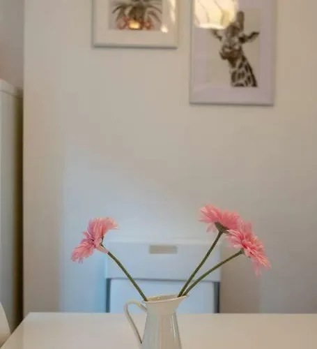 Galway City Cottage Apartament *